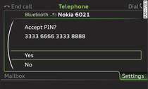 PIN display for entry on mobile phone