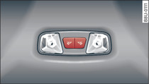 Rear headliner: Example of LED reading lights*