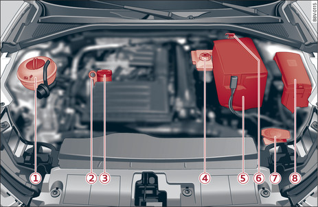 Fig. 308 Typical locations of fluid containers, engine oil dipstick and engine oil filler cap