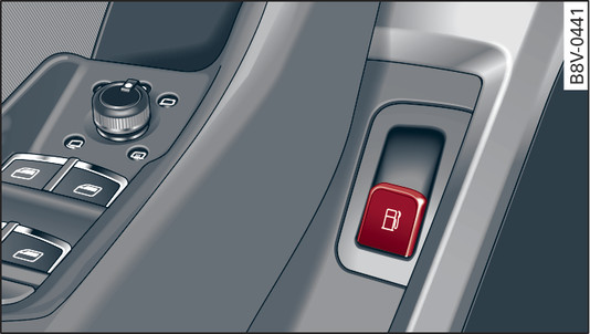 Fig. 131 Driver s door:  button