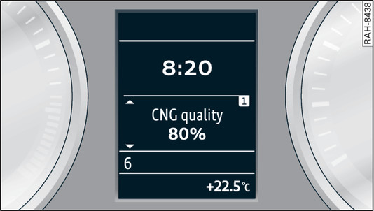 Fig. 115 Instrument cluster: Display showing natural gas quality