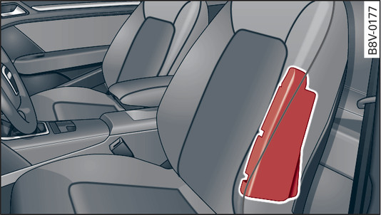 Fig. 294Airbags laterales: Ubicación en el asiento del conductor (ejemplo)