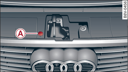 Fig. 145Parte delantera del vehículo: Desbloqueo de emergencia de la cubierta