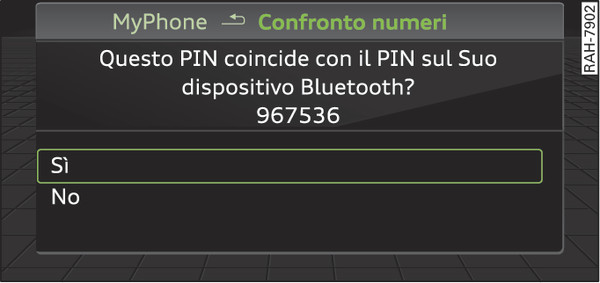 Fig. 211Visualizzazione del codice PIN per l inserimento mediante il telefono cellulare