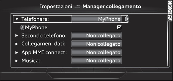 Fig. 259Manager collegamento