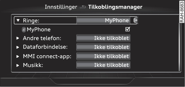 Bilde 259Tilkoblingsmanager