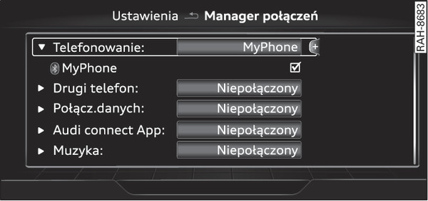 Rys. 259Manager połączeń