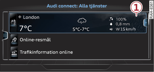 Bild 223 Audi connect (Infotainment) Startsida