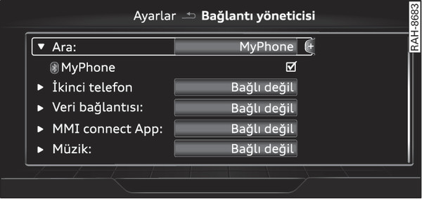 Şek. 259Bağlantı yönetici