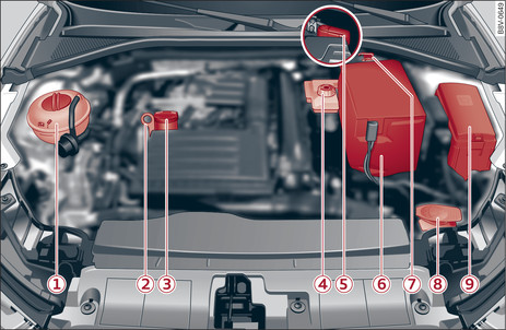 Abb. 306 Typische Anordnung der Behälter, Motoröl-Messstab und Motoröl-Einfüllöffnung