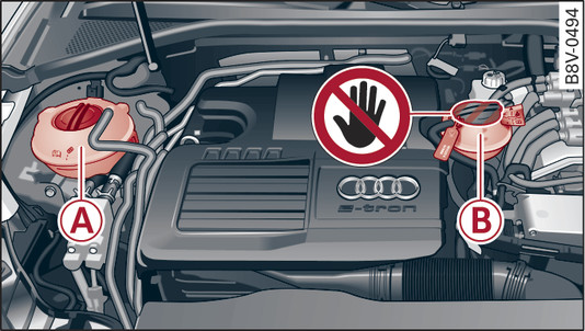 Fig. 124 Engine compartment: Coolant expansion tank