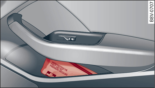 Fig. 320 Front passenger door: Stowing the first-aid kit (example)