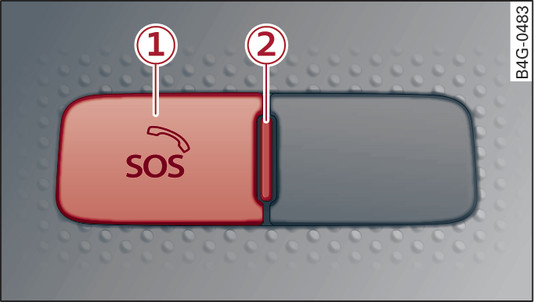 Fig. 221Parte delantera del techo: Cubierta para la tecla de llamada de emergencia