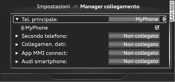 Fig. 255Manager collegamento