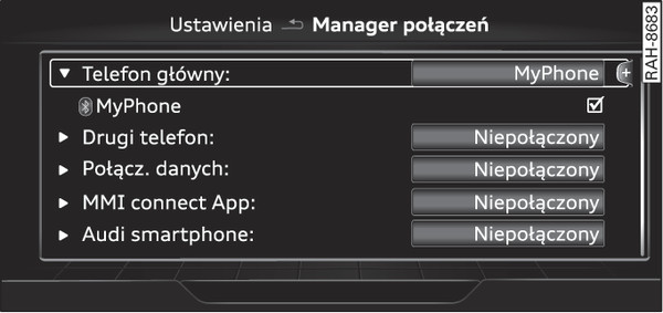 Rys. 255Manager połączeń