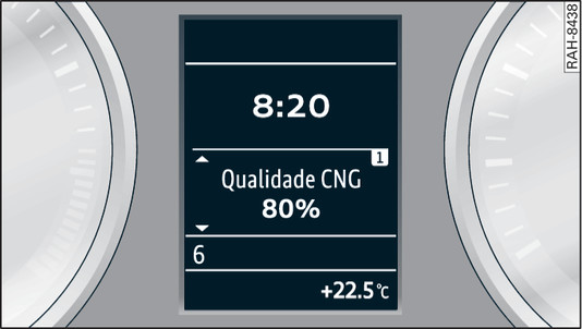 Fig. 109Painel de instrumentos: indicação da qualidade do gás natural