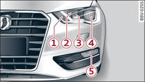 Halogen headlights: Overview of left side of vehicle