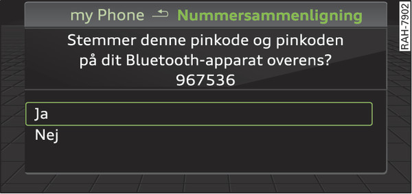 Fig. 201 Visning af pinkode til indtastning i mobiltelefon