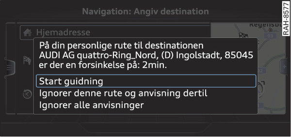 Fig. 221 Information vedr. personlig rute