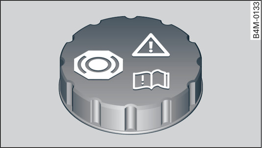 Fig. 299 Engine compartment: Cap of brake fluid reservoir