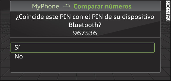 Fig. 201Indicación del PIN para introducir en el móvil