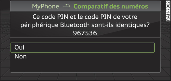 Fig. 201 Affichage du code PIN à entrer dans le téléphone portable