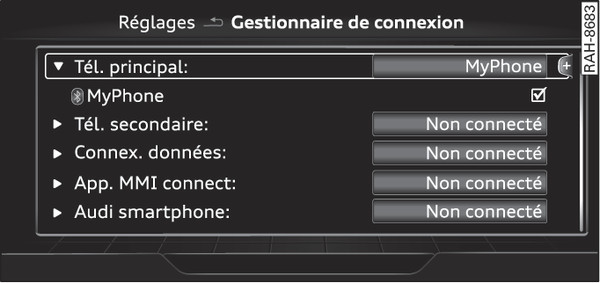 Fig. 253 Gestionnaire de connexion