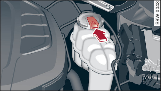 Bild 298 Motorrum: Upplåsningsknapp kylvätskebehållare (exempel)