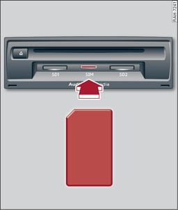 Obr. 218 Zobrazení karty mini SIM v originální velikosti