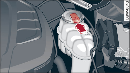 Fig. 333 Engine compartment: Release catch on coolant expansion tank cap