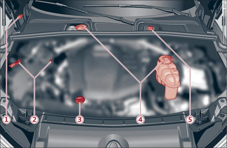 Fig. 331 Typical locations of fluid containers and engine oil filler cap