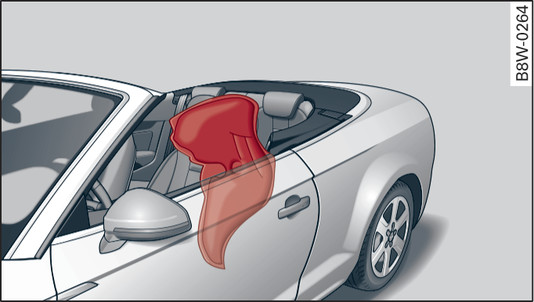 Fig. 318 Applies to: Cabriolet Side airbag in inflated condition