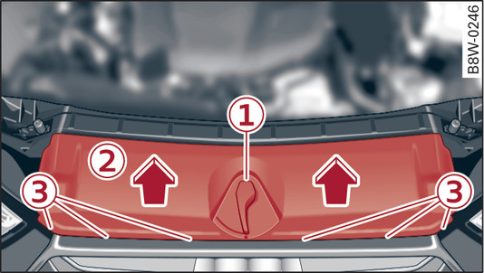 Fig. 364Compartimento del motor: Desmontar el embellecedor que hay sobre la parrilla del radiador