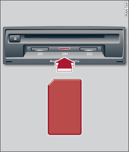 Fig. 218Tarjeta Mini SIM representada a tamaño real