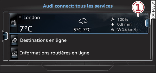 Fig. 221 Page d accueil Audi connect