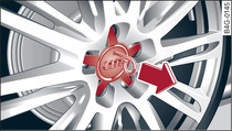 Wheel: Hubcap