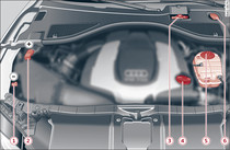 Typical locations of fluid containers and engine oil filler cap