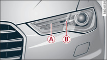 Xenon headlights (overview of left side of vehicle)