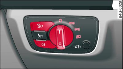 Dashboard: Light switch with all-weather lights*