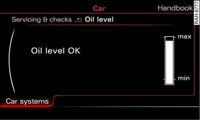 Infotainment display: Oil level