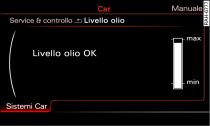 Sistema di infotainment: visualizzazione del livello dell'olio