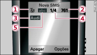 Informações no visor SMS