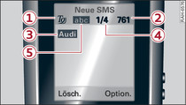 Informationen im SMS-Display