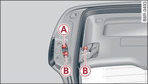 Boot lid: Bulb holders