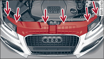 Trim panel: Attachment points are marked by arrows