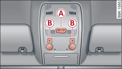 Revestimiento del techo: Iluminación interior delantera