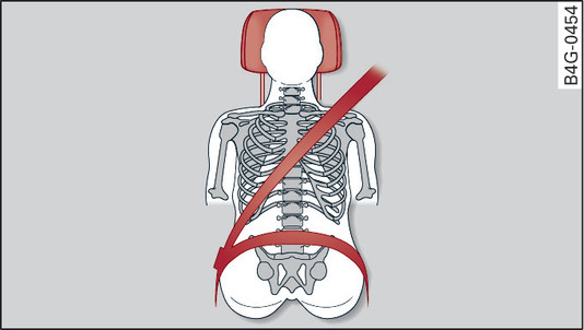 Fig. 241 Head restraint (seen from the front)