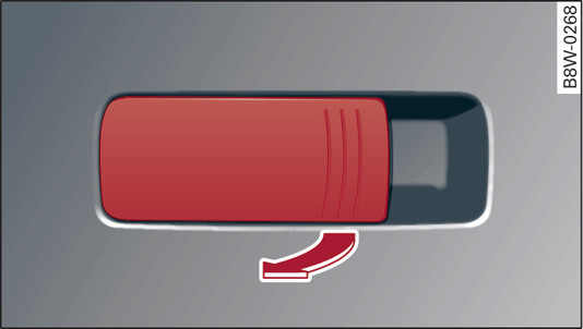 Fig. 76 Luggage compartment: Release lever (example)