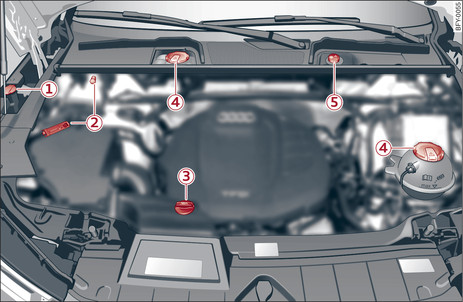 Fig. 278 Typical locations of fluid containers and engine oil filler cap