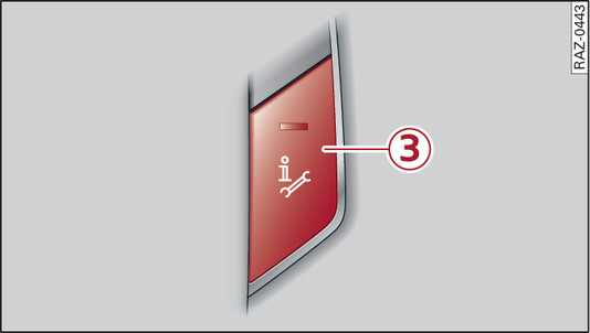 Fig. 203 Front headliner: Online roadside assistance call button